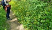 Trail Walking Les Arcs-sur-Argens - z le pont de l'Aille 19-04-22 - Photo 2