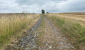 Randonnée Marche Thuin - Thuin vallée de la Biesmelle 16 km - Photo 17