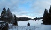 Percorso Racchette da neve Saint-Martin-en-Vercors - Herbouilly - Photo 1