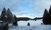 Tocht Sneeuwschoenen Saint-Martin-en-Vercors - Herbouilly - Photo 1