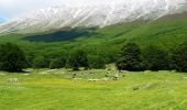 Tocht Te voet Pacentro - Anello di Passo San Leonardo - Photo 9