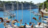 Percorso Marcia Cassis - XX-Cassis-Les Calanques-Miou-Pin-En Vau - Photo 13