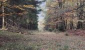 Trail Walking Trois-Ponts - brume 2 - Photo 3