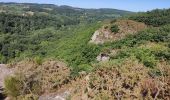 Excursión Senderismo Ménil-Hubert-sur-Orne - De Rouvroy aux Roches d'Oetre par le sentier des Méandres  - Photo 5