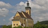 Excursión A pie Waldhausen im Strudengau - Ausblicksrunde - Photo 9