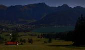 Percorso A piedi Gemeinde Walchsee - Durchholzen/Walchsee - Lippenalm - Raineralm - Photo 5