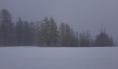 Tour Wandern Puy-Saint-Pierre - pentes du prorel sous la neige de printemps  - Photo 1