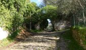 Trail On foot Vicopisano - 