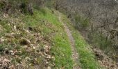 Excursión Marcha nórdica Vianden - Gr5 E2 de  Vianden à Dasbourg Pont - Photo 17