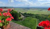 Tour Wandern Westhalten - Westhalden Schauenberg - Photo 1