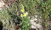 Trail Walking Vauvenargues - Vimont.helene - Photo 15