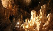 Excursión A pie Unknown - Peștera Urșilor - Hârsești - Photo 9