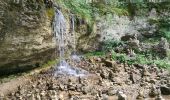 Excursión Senderismo Menétrux-en-Joux - cascades du hérisson- Menetrux en Joux - Photo 5