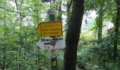 Trail On foot Lecco - Sentiero 1: Malnago - Rifugio Azzoni - Photo 4