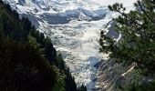 Tocht Stappen Chamonix-Mont-Blanc - La Jonction depuis le parking de Mont (Chamonix) - Photo 8
