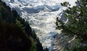 Percorso Marcia Chamonix-Mont-Blanc - La Jonction depuis le parking de Mont (Chamonix) - Photo 8