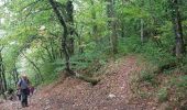 Trail Walking Fontaine - La Cabane de Laura - La Ferme Durand depuis La Poya - Photo 2