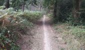 Trail Walking Andenne - Geron(Andenne) -   Surlemez(Couthuin) circuit - Photo 1