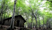 Randonnée A pied Varazze - Chiesa delle Faie – Pratorotondo - Photo 2