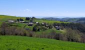 Trail Walking Chambon-sur-Lac - BOUCLE AUTOUR DE LA COUZE DE SURAINS - Photo 13