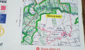 Tour Wandern Illeville-sur-Montfort - Illeville-sur-Monfort - Le circuit des Jacinthes - Photo 6
