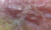 Tour Wandern Fontainebleau - Belle-croix 27 janvier 2023  - Photo 15