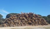 Randonnée Marche Nîmes - Clos Gaillard  - Photo 11