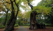 Randonnée A pied Arnhem - Wandelen door park Zypendaal en Sonsbeek - Photo 3