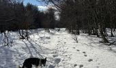 Trail Walking Stosswihr - Les 3 Fours - col de la Schlucht - Photo 5