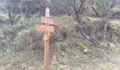 Excursión Senderismo Peille - La Lourquiere au départ de la gare de Grave de Peille - Photo 8