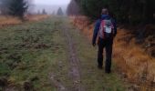 Tocht Stappen Eupen - Venenwandeling Nahtsief - Photo 6