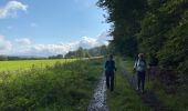 Tour Wandern Saint-Hubert - Awenne - Photo 12