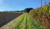 Tour Wandern Kluisbergen - Kluisbergen mont de l’Enclus 16 km - Photo 3