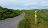 Tour Zu Fuß West Cork - Coomkeen Loop Walk - Photo 6