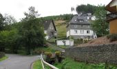 Excursión A pie Schmallenberg - Golddorf-Route Lenne - Photo 4