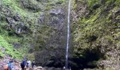 Trail Walking Santana - Levada  - Photo 19