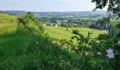 Tocht Stappen Château-Thierry - Château - Aulnois - Château du 26/05/2020 - Photo 4