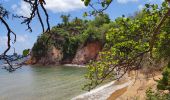 Excursión Senderismo La Trinité - De Pointe rouge vers pointe à Bibi  - Photo 1