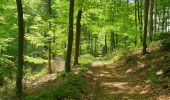 Tour Wandern Court-Saint-Étienne - Bois³ de l'Abbaye - Photo 9