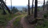 Trail Walking Saint-Racho - Chassigny 1 - Photo 3