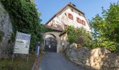 Percorso A piedi Hartenstein - Rundweg Hartenstein – Teufelshof - Photo 1