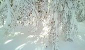 Trail Snowshoes Pontarlier - Pontarlier Gounfay Grand Taureau 2021-01-19 CAF - Photo 4