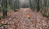 Tocht Stappen Léglise - Bombois - Photo 9