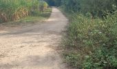 Trail Walking Lennik - 20220814 Lennik WSV Windheren 10 km - Photo 6