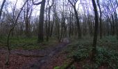 Percorso Mountainbike Ham-sur-Heure-Nalinnes - Ham_sur_Heure_Nalinnes_20220109_082216 - Photo 3