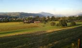 Trail On foot Baar - Baar - Walterswil - Photo 4