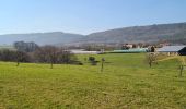 Excursión Senderismo Soultz-sous-Forêts - Le sentier des cimes depuis Soultz - Photo 14