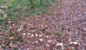 Trail Walking Bar-sur-Seine - Bar-Polidot-Celles 24km le 29.11.2021 - Photo 4