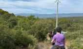 Trail Horseback riding Lauris - Provence 2025 J1 - Photo 7