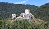 Percorso A piedi Gemeinde Puchberg am Schneeberg - Puchberg Laufstrecke 3 - Photo 1